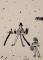 IMG-20241217-WA0012