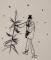 IMG-20241217-WA0013