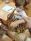 IMG-20250602-WA0028