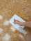 IMG-20250602-WA0033