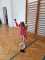 IMG-20250602-WA0049