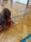 IMG-20250602-WA0069