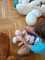 IMG-20250602-WA0077