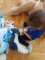 IMG-20250602-WA0080