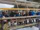 IMG-20250217-WA0002