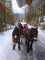 IMG-20250217-WA0007