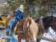 IMG-20250217-WA0010