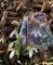 IMG-20250304-WA0004