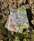 IMG-20250304-WA0005