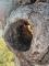 IMG-20250304-WA0009