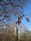 IMG-20250304-WA0017