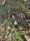 IMG-20250304-WA0019