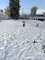 IMG-20241122-WA0017