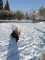 IMG-20241122-WA0022