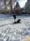 IMG-20241122-WA0029