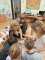 IMG-20241221-WA0043