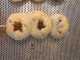 IMG-20250221-WA0058
