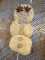 IMG-20250221-WA0059