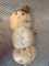 IMG-20250221-WA0061